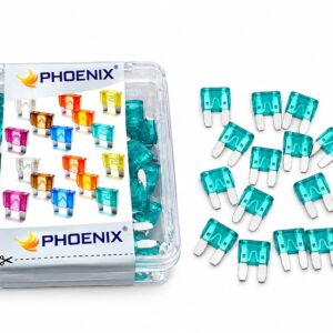 PHOENIX FUSE ( 30 AMP )