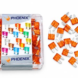 PHOENIX FUSE ( 40 AMP )