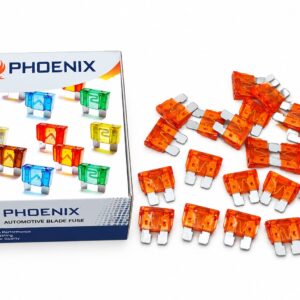 PHOENIX FUSE (  10 AMP )